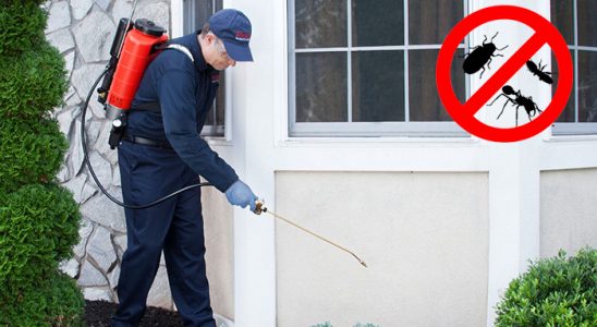 Doğançay Akrep İlaçlama böcek ilaçlama ve haşere kontrolü — ilaclama-tr.com